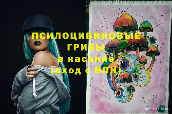спайс Вяземский