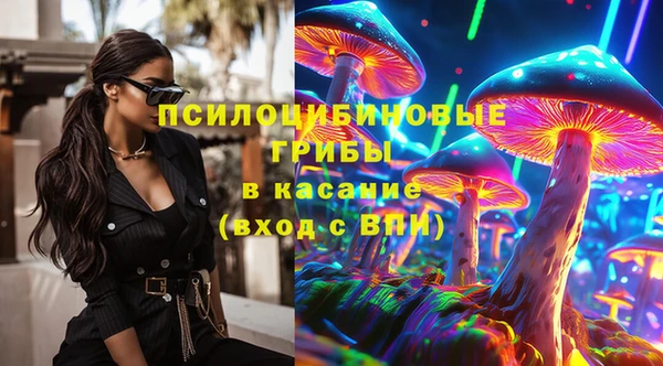 спайс Дмитриев