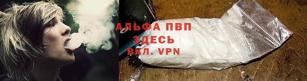 дживик Горняк