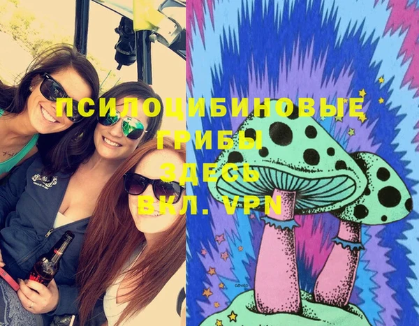 стафф Горно-Алтайск