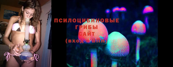 стафф Горно-Алтайск