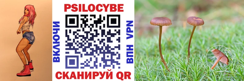 Купить где  Сухиничи  Галлюциногенные грибы прущие грибы 